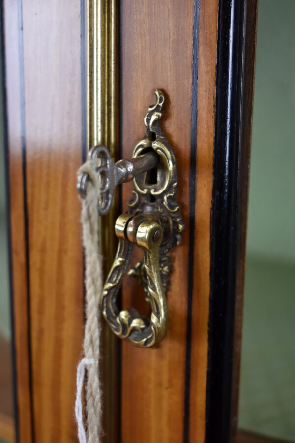 Victorian Satinwood Serpentine Display Cabinet - Image 9