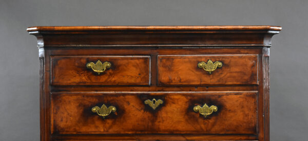 19th Century Figured Walnut Chest on Stand - Image 6