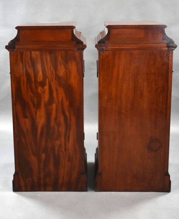 Pair of 19th Century Solid Mahogany Pedestals - Image 7