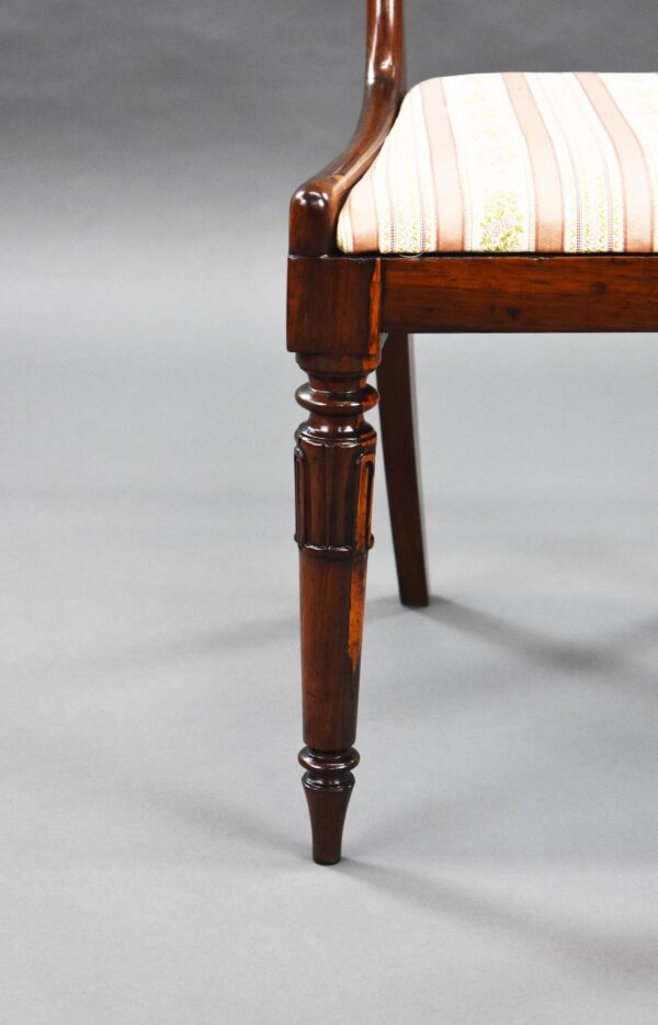 Set of 6 William IV Rosewood Dining Chairs - Image 4