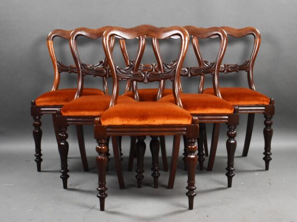 Set 6 19th Century Mahogany Dining Chairs