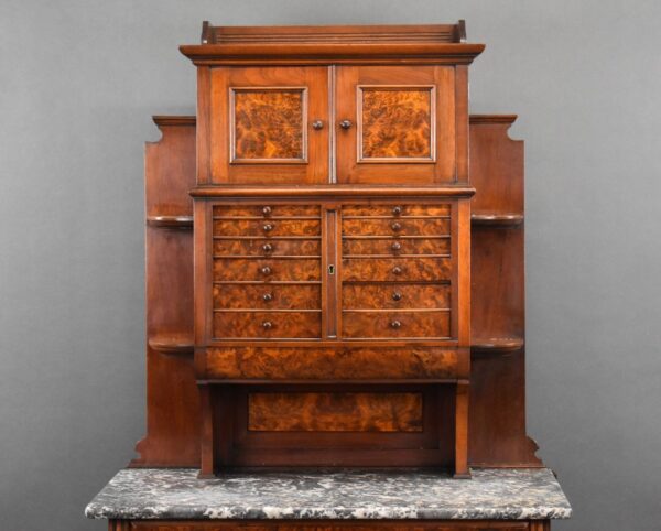 Victorian Burr Walnut Dentist Cabinet - Image 2
