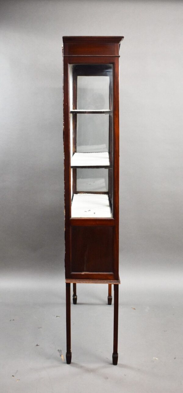 Edwardian Mahogany Hand Painted China Cabinet - Image 5