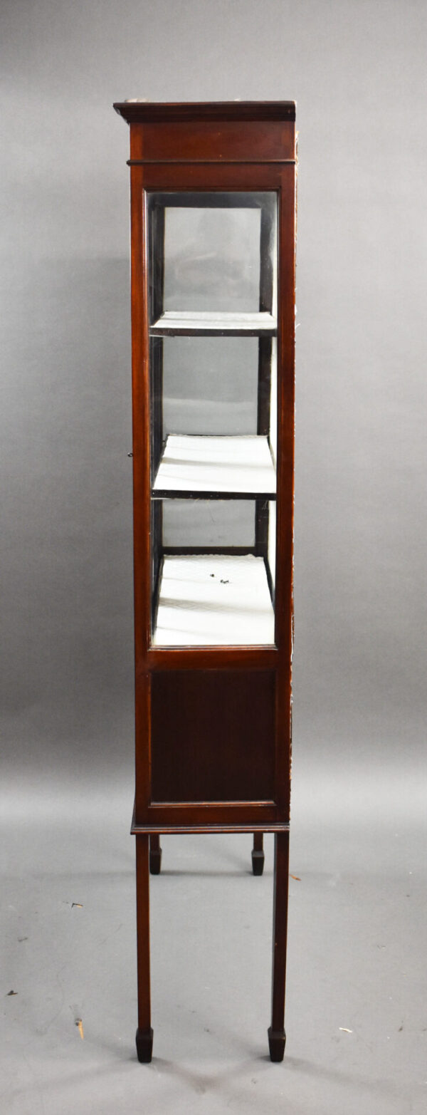 Edwardian Mahogany Hand Painted China Cabinet - Image 6